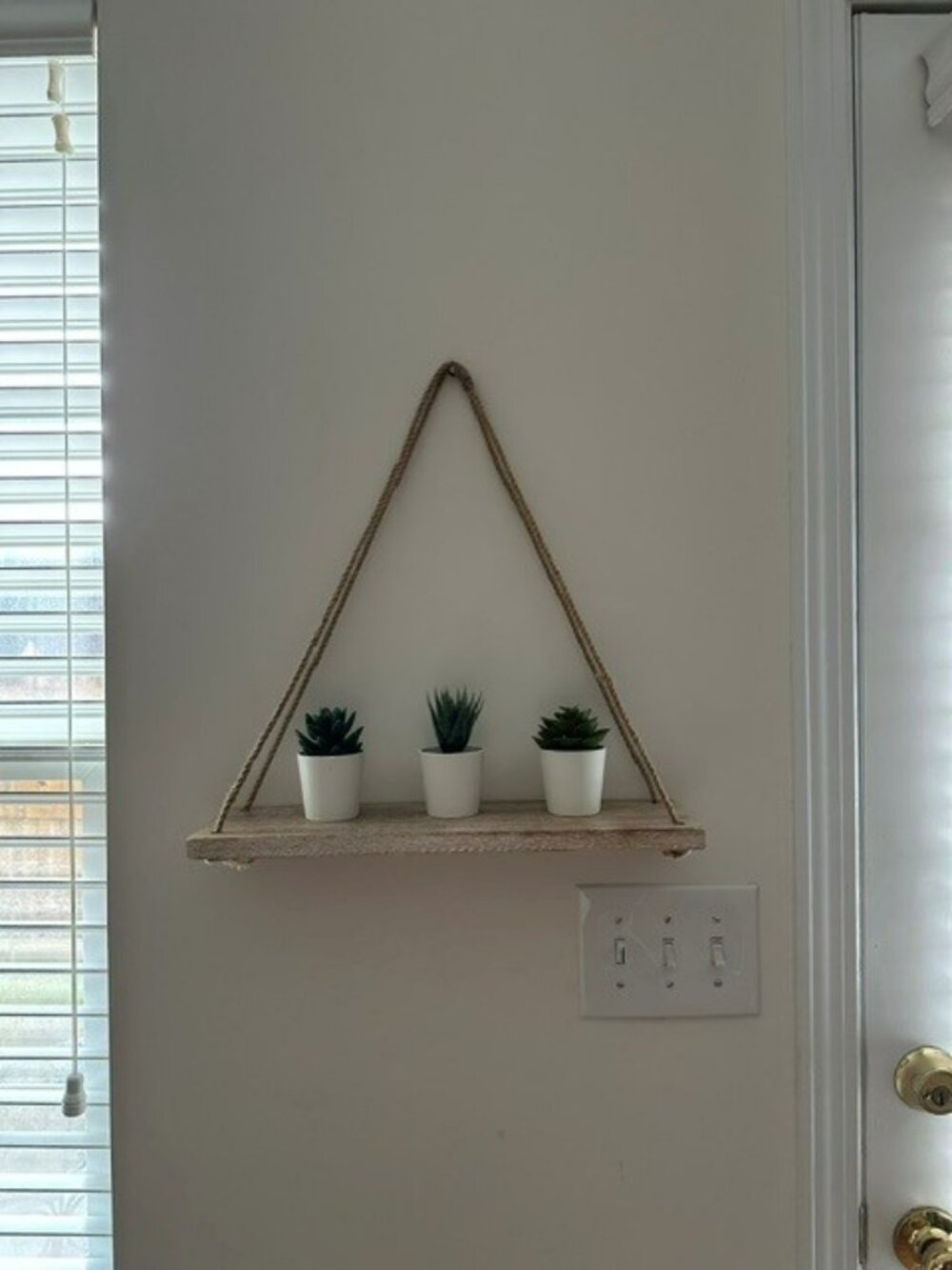 Driftwood Shelf with Succulents